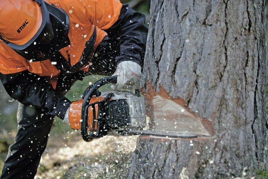 как распилить упавшее дерево