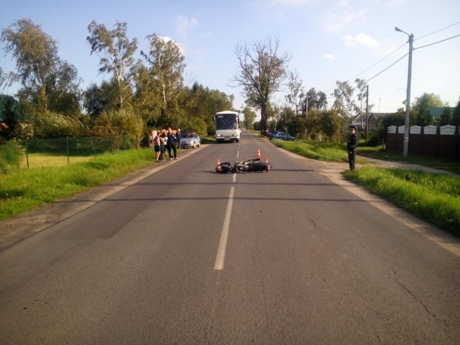 Дороги калининградской области с деревьями фото