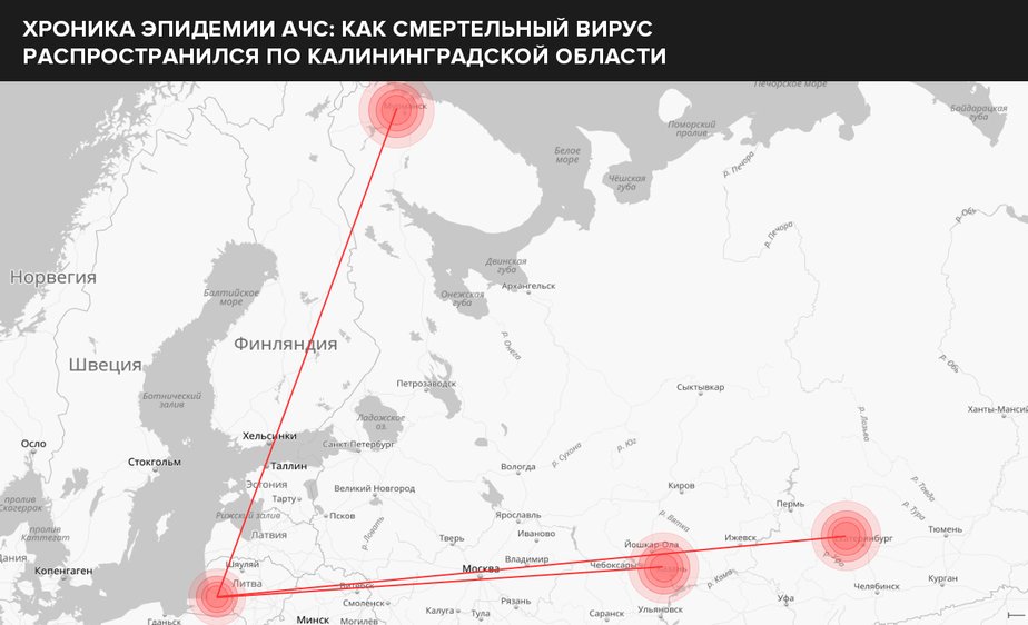 Очаги мышиной лихорадки в россии карта