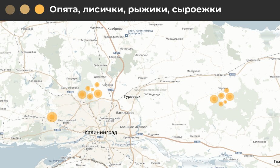 Карта запрета ловли в калининградской области