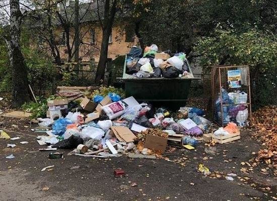 Со двора дома на ул. Художественной неделями не вывозят мусор (фото) - Новости Калининграда | Фото: жительница дома Со двора дома на ул. Художественной неделями не вывозят мусор (фото) - Новости Калининграда | Фото: жительница дома