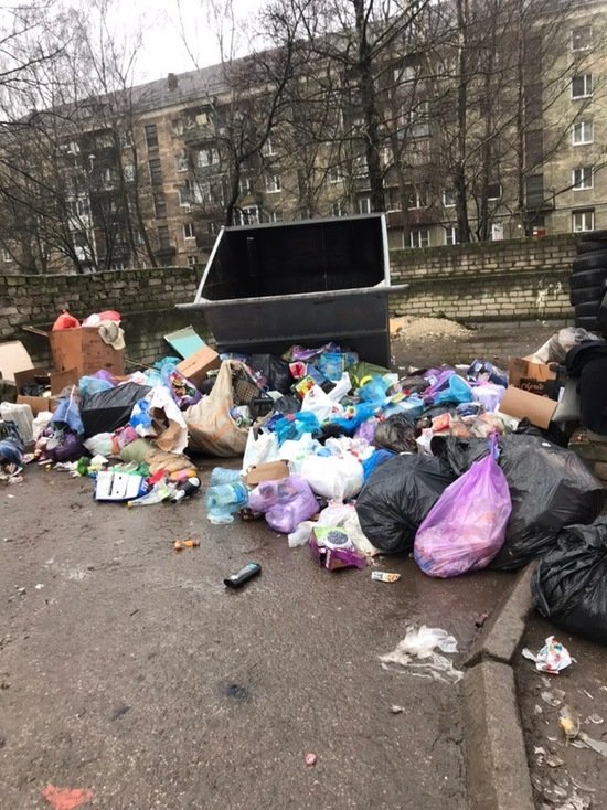 С трёх улиц в центре Калининграде накануне праздника не вывезли мусор (фото) - Новости Калининграда | Фото: читатель "Клопс" С трёх улиц в центре Калининграде накануне праздника не вывезли мусор (фото) - Новости Калининграда | Фото: читатель "Клопс"