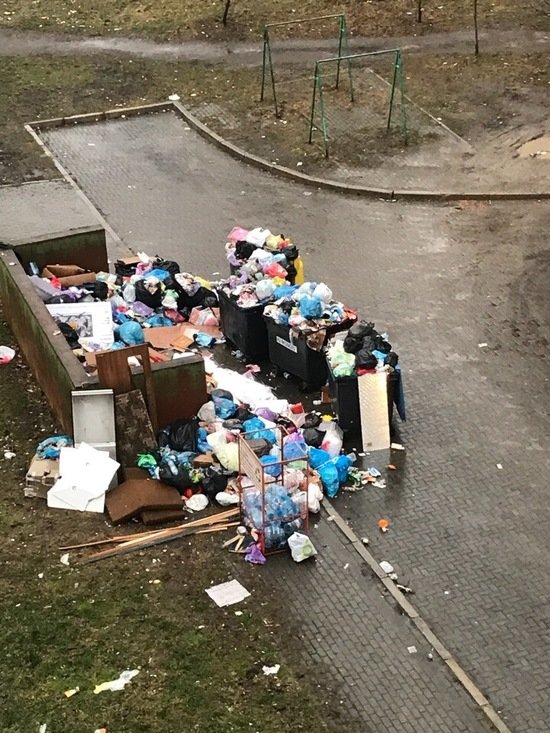 С трёх улиц в центре Калининграде накануне праздника не вывезли мусор (фото) - Новости Калининграда | Фото: читатель "Клопс" С трёх улиц в центре Калининграде накануне праздника не вывезли мусор (фото) - Новости Калининграда | Фото: читатель "Клопс"