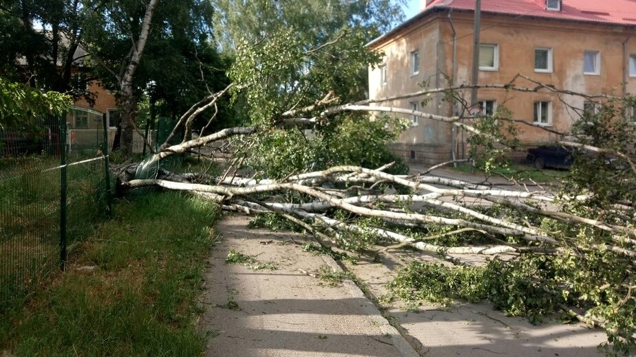 Фото сильный ветер весной