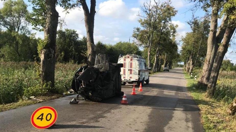 Дороги калининградской области с деревьями фото