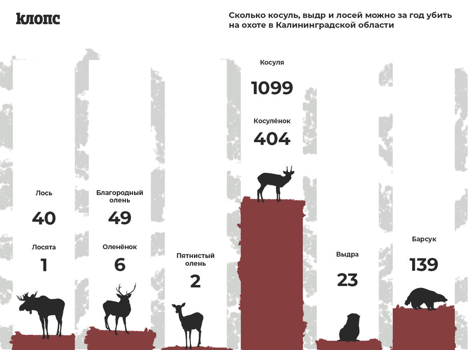 Штрафы за охоту 2020. Штраф за незаконную добычу оленя. Штраф за незаконную охоту на косулю.