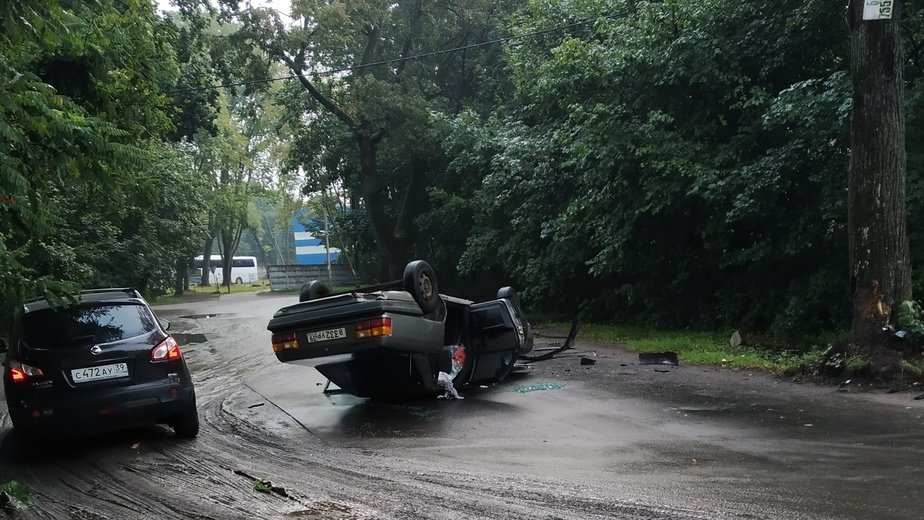 Лошадь врезалась в машину