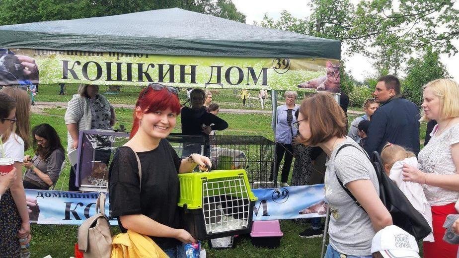 Моторная елена калининград
