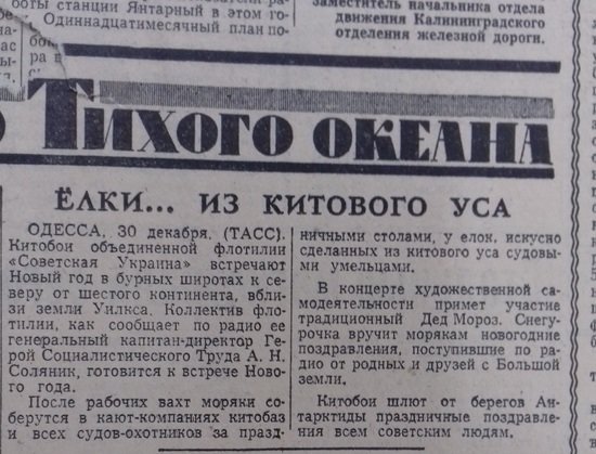 “Кровавая собака Берия и ёлка из китового уса”: что писали накануне Нового года калининградские газеты в 1940-90-х - Новости Калининграда | Государственный архив Калининградской области “Кровавая собака Берия и ёлка из китового уса”: что писали накануне Нового года калининградские газеты в 1940-90-х - Новости Калининграда | Государственный архив Калининградской области