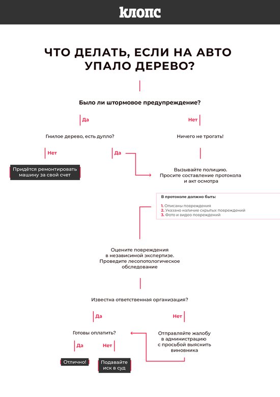 Авторазбор "Клопс": как получить компенсацию, если на вашу машину упало дерево - Новости Калининграда Авторазбор "Клопс": как получить компенсацию, если на вашу машину упало дерево - Новости Калининграда