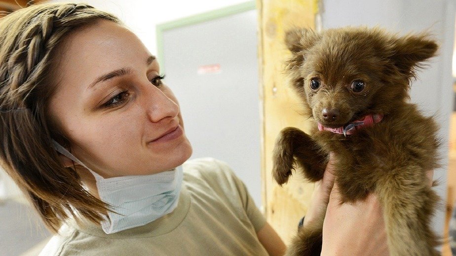 томограф в лизинг