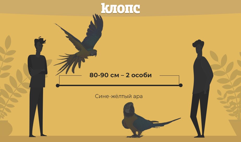 Сделал добро отойди на безопасное расстояние чтобы ударной волной благодарности не зацепило картинки