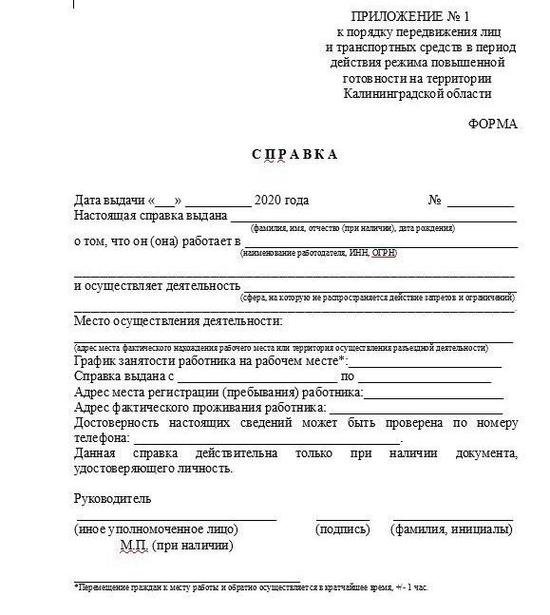 Власти региона показали шаблон справки с работы для жителей области - Новости Калининграда Власти региона показали шаблон справки с работы для жителей области - Новости Калининграда