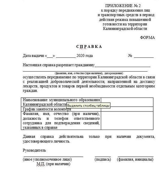 Власти региона показали шаблон справки с работы для жителей области - Новости Калининграда Власти региона показали шаблон справки с работы для жителей области - Новости Калининграда