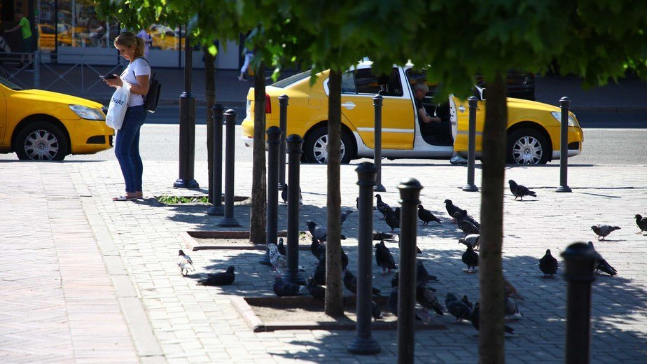 В Калининградской области к концу недели ожидается аномальная жара - Новости Калининграда | Архив "Клопс" В Калининградской области к концу недели ожидается аномальная жара - Новости Калининграда | Архив "Клопс"