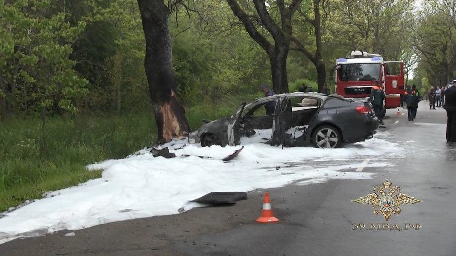 Алиханов — о ДТП с трёмя погибшими под Балтийском: Водитель явно был под чем-то - Новости Калининграда | Фото: пресс-служба УМВД России по Калининградской области Алиханов — о ДТП с трёмя погибшими под Балтийском: Водитель явно был под чем-то - Новости Калининграда | Фото: пресс-служба УМВД России по Калининградской области