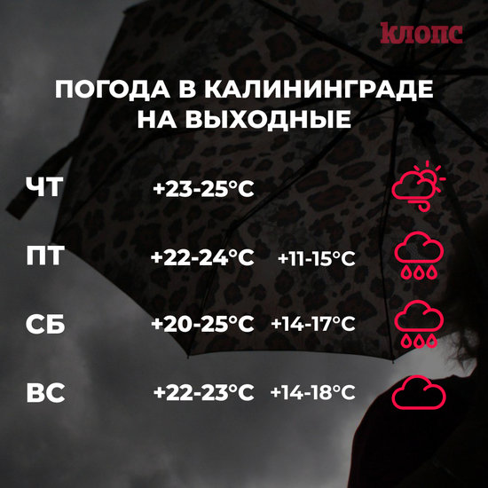 Синоптики рассказали о погоде в Калининграде на выходные - Новости Калининграда Синоптики рассказали о погоде в Калининграде на выходные - Новости Калининграда