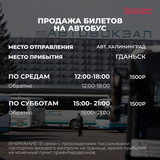 Из Калининграда в Гданьск пустят ещё один автобус - Новости Калининграда Из Калининграда в Гданьск пустят ещё один автобус - Новости Калининграда
