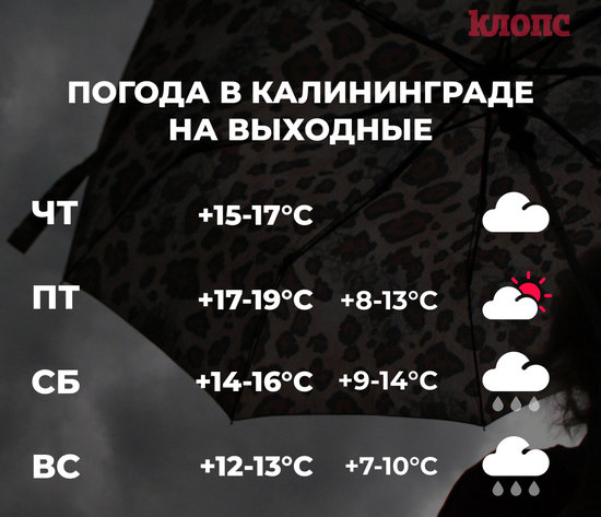 Синоптики пообещали дождливые выходные в Калининграде - Новости Калининграда Синоптики пообещали дождливые выходные в Калининграде - Новости Калининграда