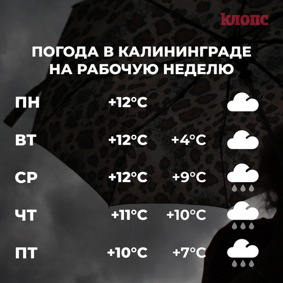 Синоптики спрогнозировали прохладную и дождливую рабочую неделю в Калининграде - Новости Калининграда Синоптики спрогнозировали прохладную и дождливую рабочую неделю в Калининграде - Новости Калининграда