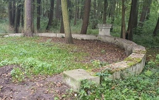 В Балтийске планируют восстановить парк имени Головко - Новости Калининграда | Фото: Антон Алиханов / Instagram В Балтийске планируют восстановить парк имени Головко - Новости Калининграда | Фото: Антон Алиханов / Instagram