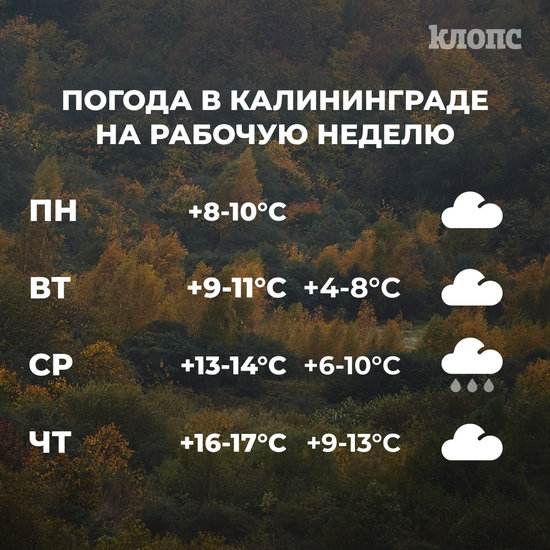 Синоптики рассказали о погоде в Калининграде на рабочую неделю - Новости Калининграда Синоптики рассказали о погоде в Калининграде на рабочую неделю - Новости Калининграда