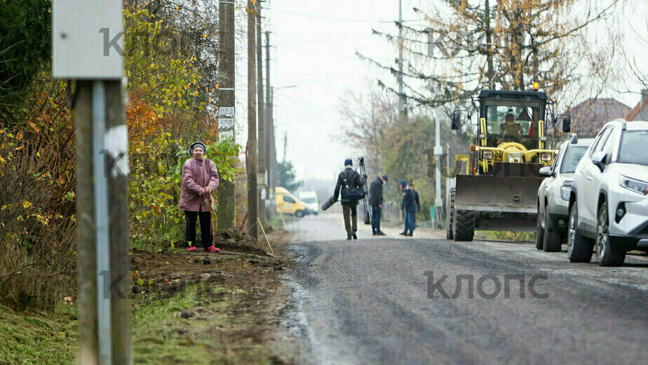 Дороги калининградской области с деревьями фото