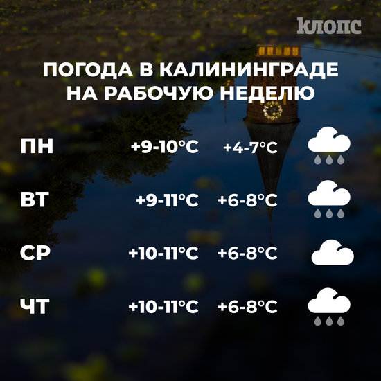 В Калининградской области на наступившей неделе ожидаются практически ежедневные осадки. По данным Гидрометцентра РФ, дождь не ожидается только в среду.