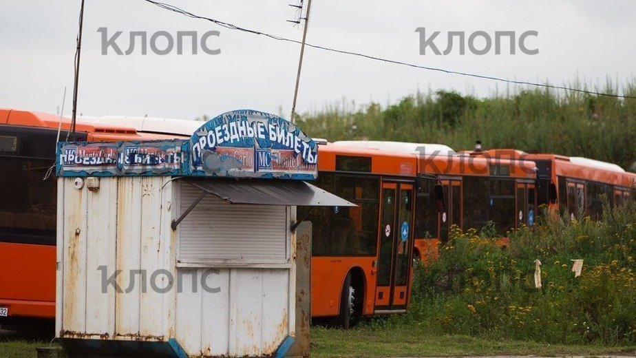 Городской транспорт калининграда фото