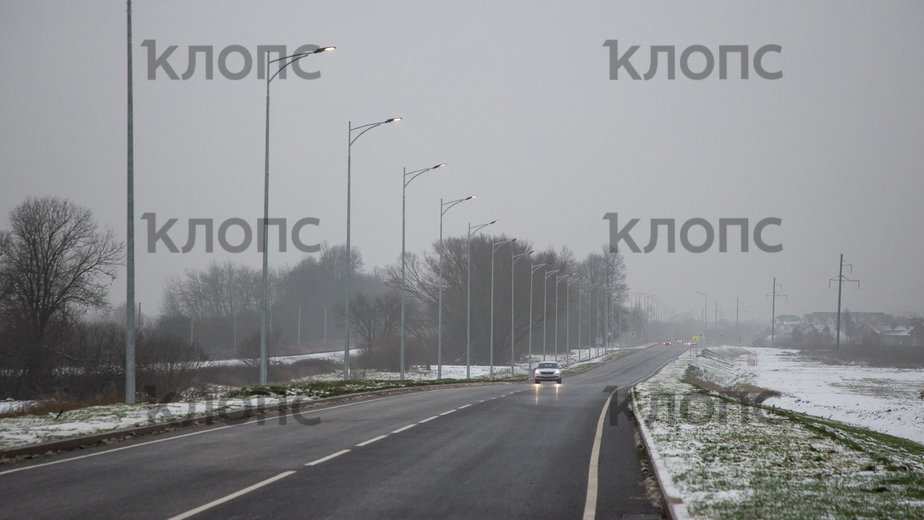 Дороги калининградской области с деревьями фото