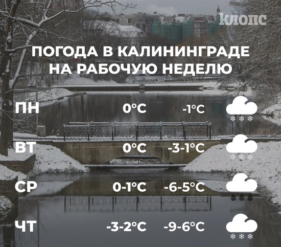 -9 и мокрый снег: погода в Калининграде на первую рабочую неделю января - Новости Калининграда -9 и мокрый снег: погода в Калининграде на первую рабочую неделю января - Новости Калининграда