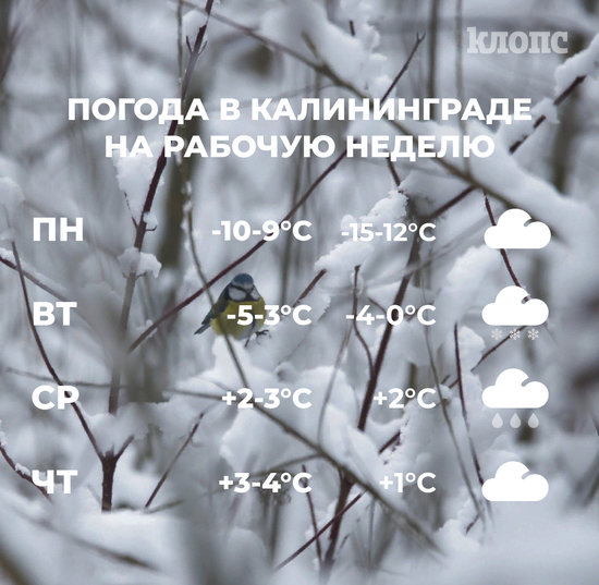 Синоптики рассказали о погоде в Калининграде на рабочую неделю - Новости Калининграда Синоптики рассказали о погоде в Калининграде на рабочую неделю - Новости Калининграда