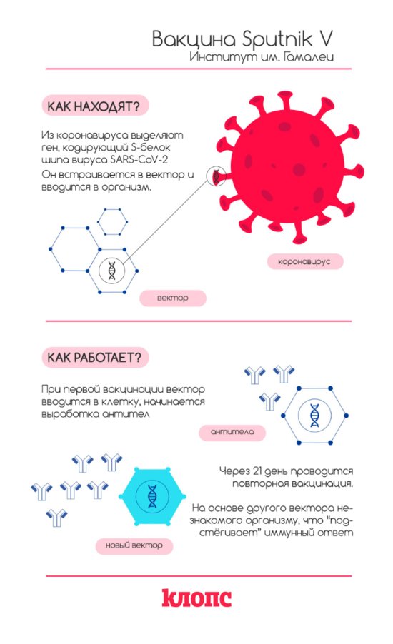 Какие способы прививок изображены на рисунке