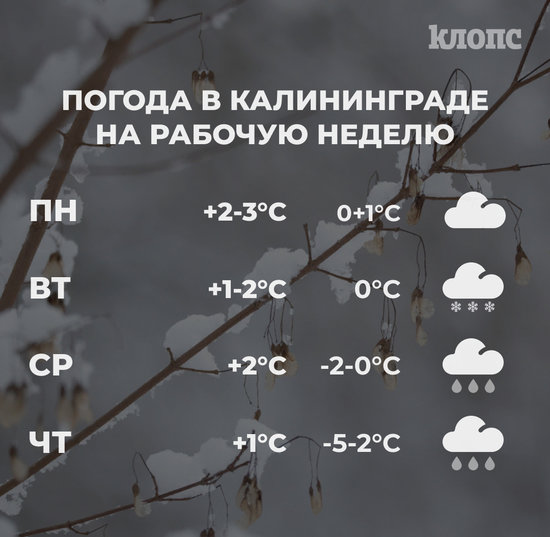 Синоптики рассказали о погоде в Калининграде на рабочую неделю - Новости Калининграда Синоптики рассказали о погоде в Калининграде на рабочую неделю - Новости Калининграда