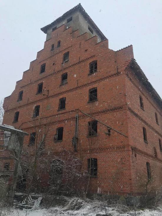 На старинной мельнице под Правдинском неизвестные повесили собаку - Новости Калининграда | Фото очевидца На старинной мельнице под Правдинском неизвестные повесили собаку - Новости Калининграда | Фото очевидца