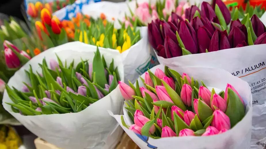 Эксперты оценили динамику цен на цветы перед 8 марта