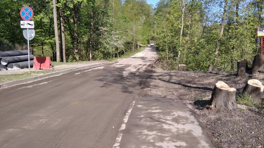 Болезнь деревьев в калининграде фото и описание