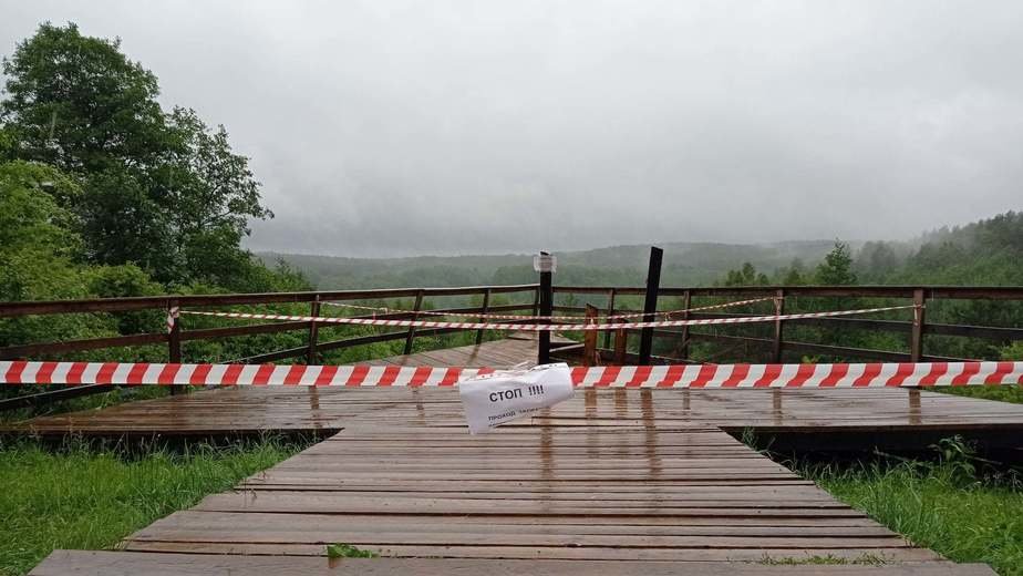 В Краснолесье частично обрушилась смотровая площадка, есть пострадавшие - Новости Калининграда | Фото: Алексей Соколов В Краснолесье частично обрушилась смотровая площадка, есть пострадавшие - Новости Калининграда | Фото: Алексей Соколов