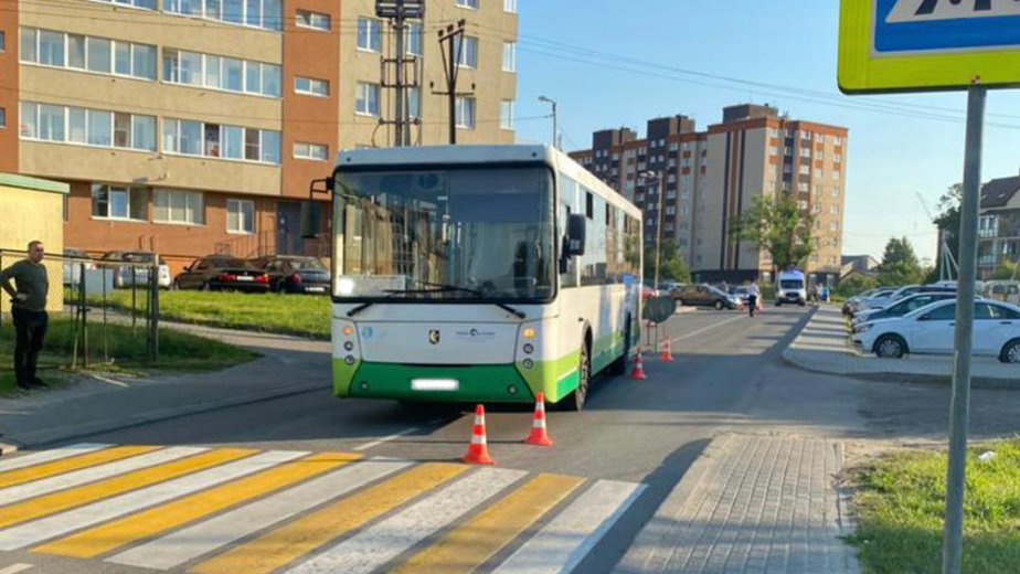 В Гурьевске автобус сбил 72-летнюю велосипедистку (видео) - Новости Калининграда | Фото: пресс-служба УМВД России по Калининградской области В Гурьевске автобус сбил 72-летнюю велосипедистку (видео) - Новости Калининграда | Фото: пресс-служба УМВД России по Калининградской области