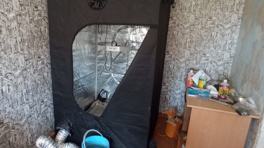 Урожай хранила в холодильнике: жительница Советска устроила в своей квартире нарколабораторию - Новости Калининграда | Фото: пресс-служба УМВД по Калининградской области Урожай хранила в холодильнике: жительница Советска устроила в своей квартире нарколабораторию - Новости Калининграда | Фото: пресс-служба УМВД по Калининградской области