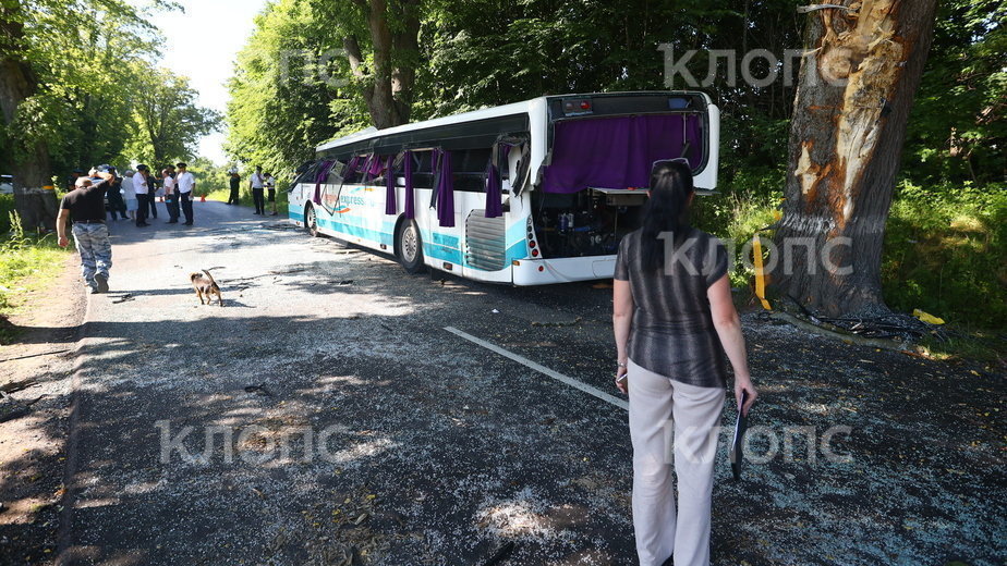 Трассу «Калининград — Янтарный» перекрыли после ДТП с пассажирским автобусом - Новости Калининграда | Фото Александра Подгорчука Трассу «Калининград — Янтарный» перекрыли после ДТП с пассажирским автобусом - Новости Калининграда | Фото Александра Подгорчука