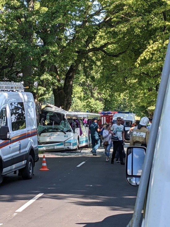 В ДТП с пассажирским автобусом под Янтарным пострадали восемь человек, двое из них — дети - Новости Калининграда | Фото: Очевидец В ДТП с пассажирским автобусом под Янтарным пострадали восемь человек, двое из них — дети - Новости Калининграда | Фото: Очевидец