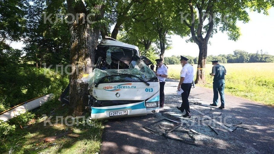 11 человек находятся в больнице после ДТП с пассажирским автобусом под Янтарным - Новости Калининграда | Фото Александра Подгорчука 11 человек находятся в больнице после ДТП с пассажирским автобусом под Янтарным - Новости Калининграда | Фото Александра Подгорчука