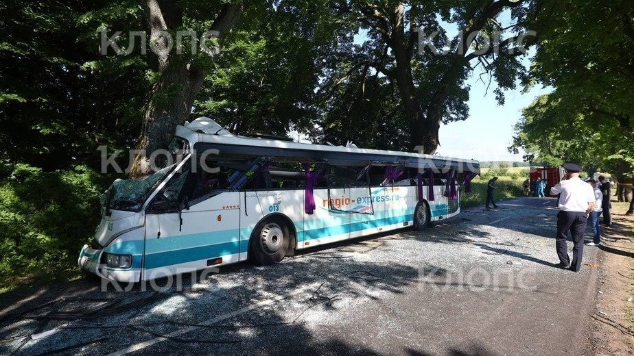 ГЛОНАСС помогла установить скорость автобуса перед аварией под Янтарным - Новости Калининграда | Фото Александра Подгорчука ГЛОНАСС помогла установить скорость автобуса перед аварией под Янтарным - Новости Калининграда | Фото Александра Подгорчука