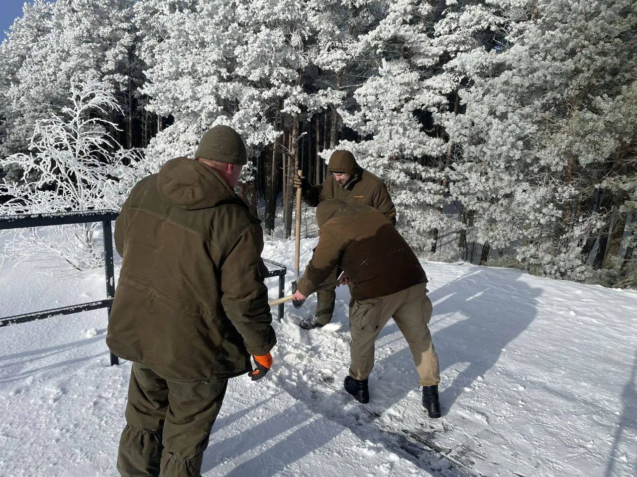 Сотрудники парка откапывают дорожки от снега