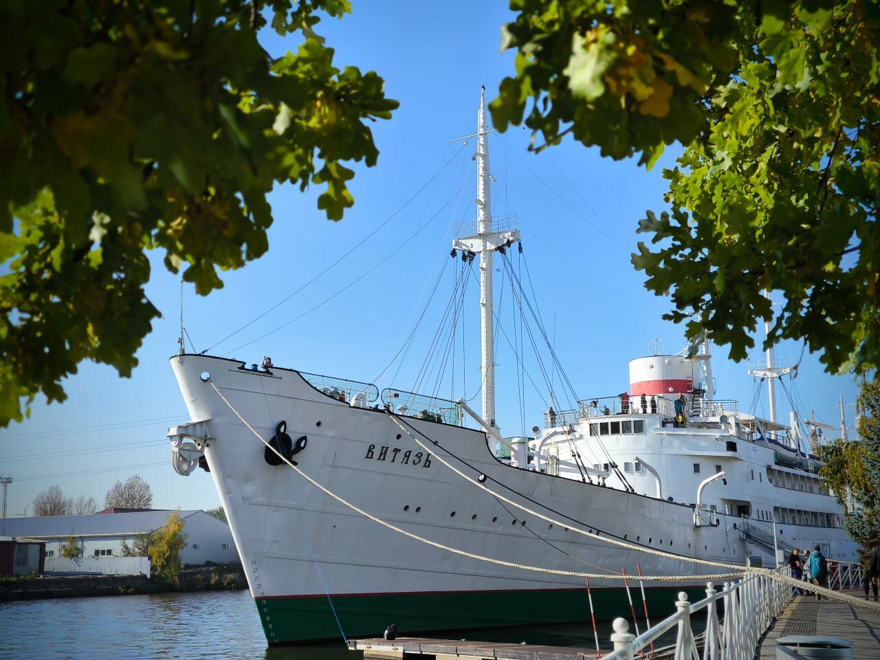 Фото предоставлены пресс-службой Музея Мирового океана
