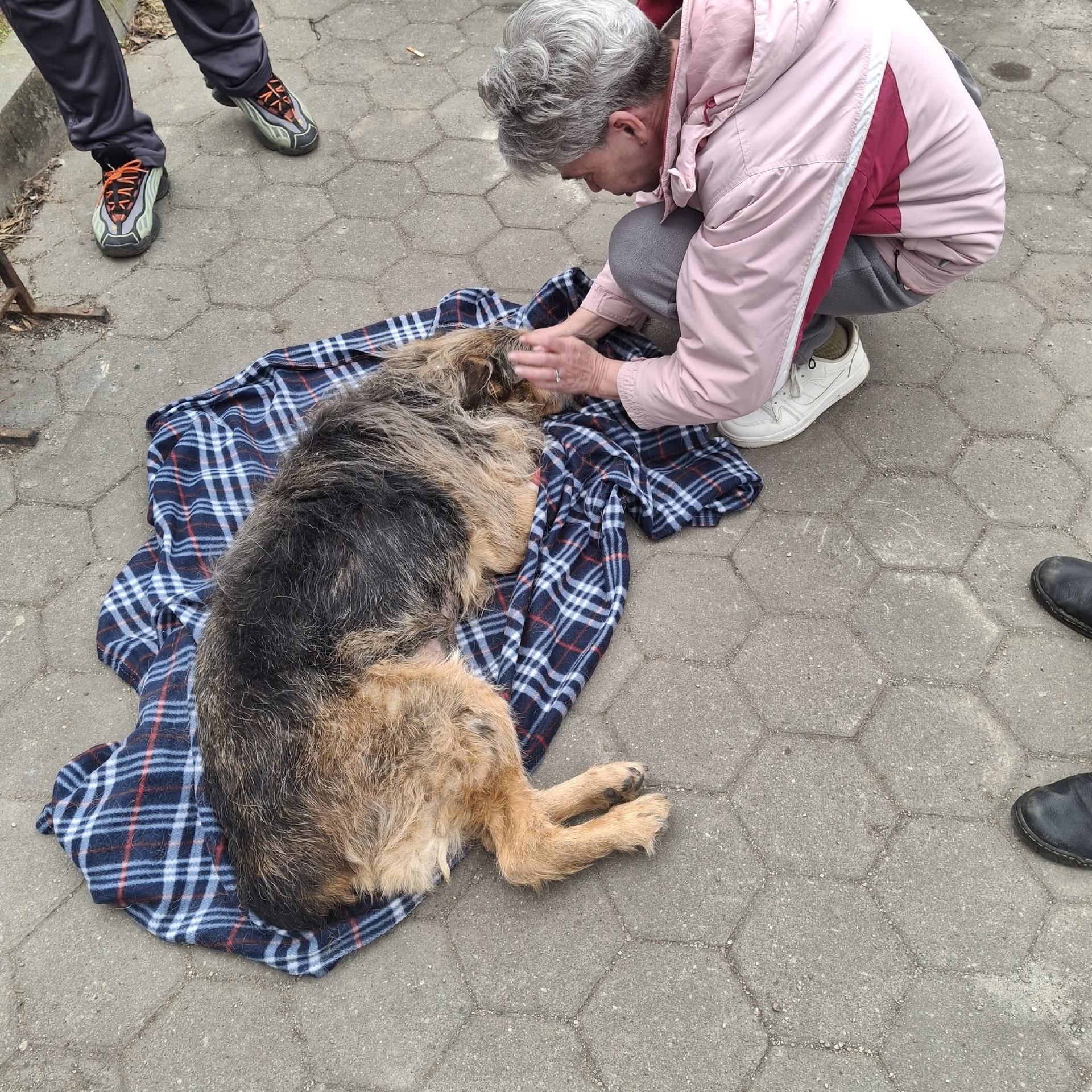 Гретту везут в клинику