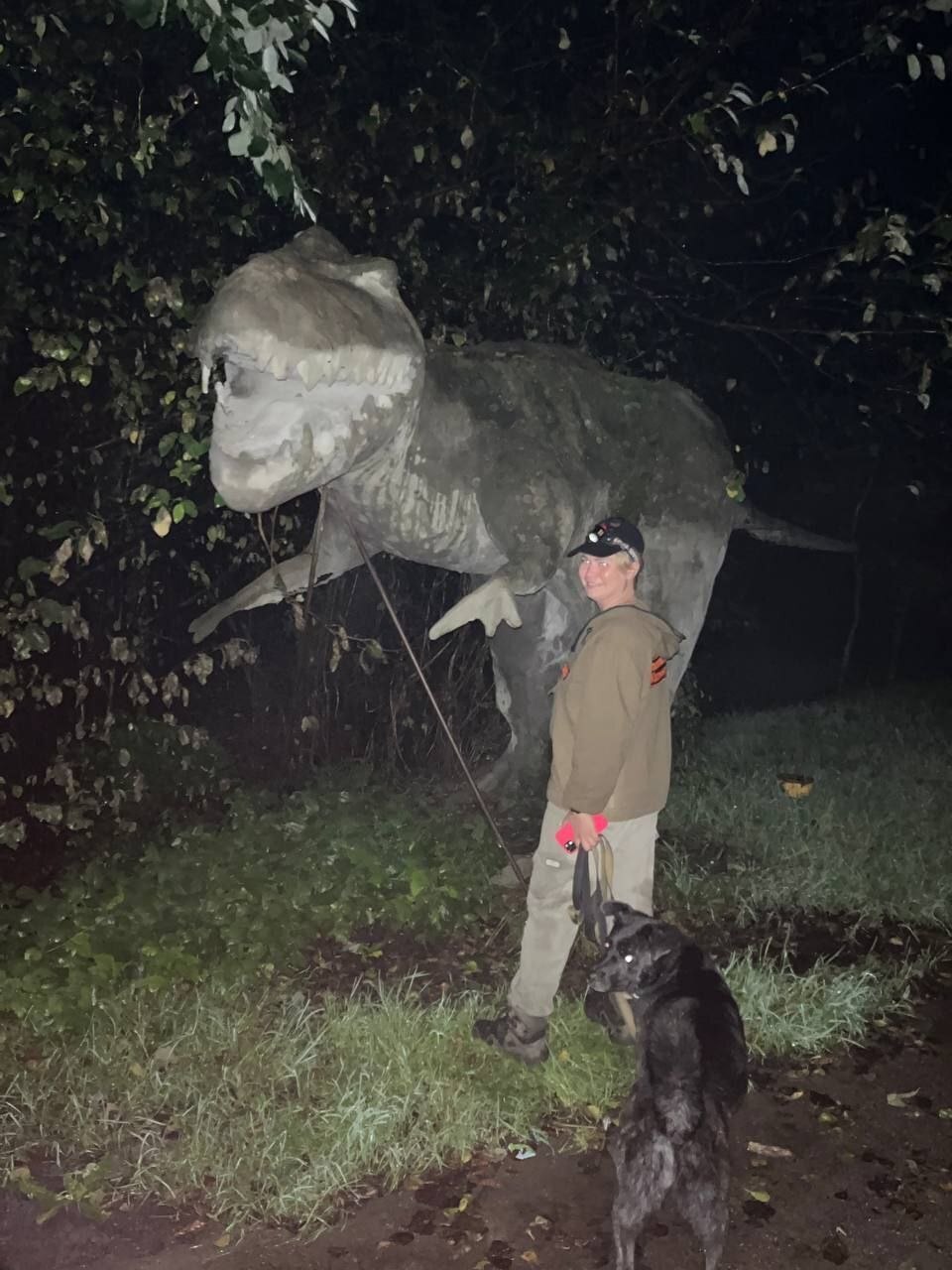 «Экспонат» из «Парка юрского периода» обнаружили во время поисков в лесу под Калининградом