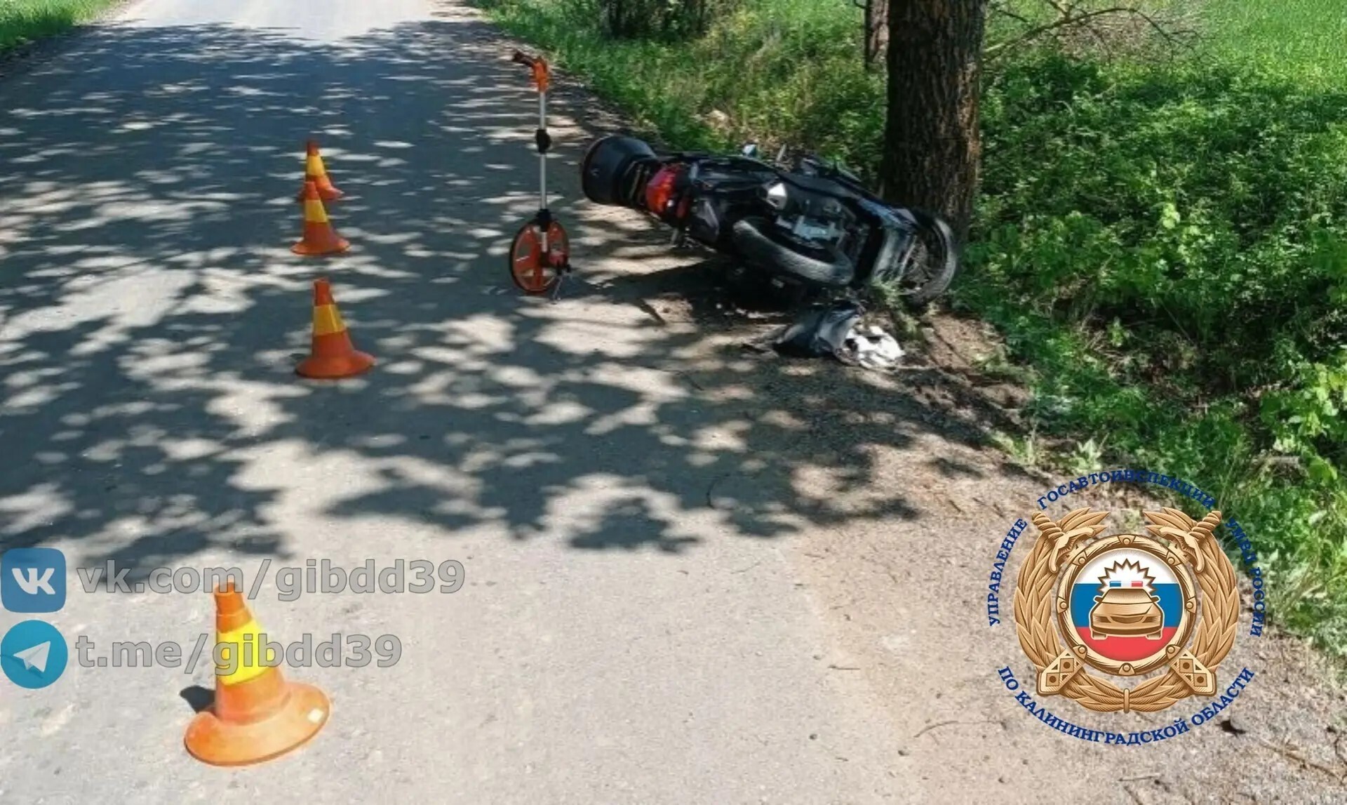 Фото с места происшествия