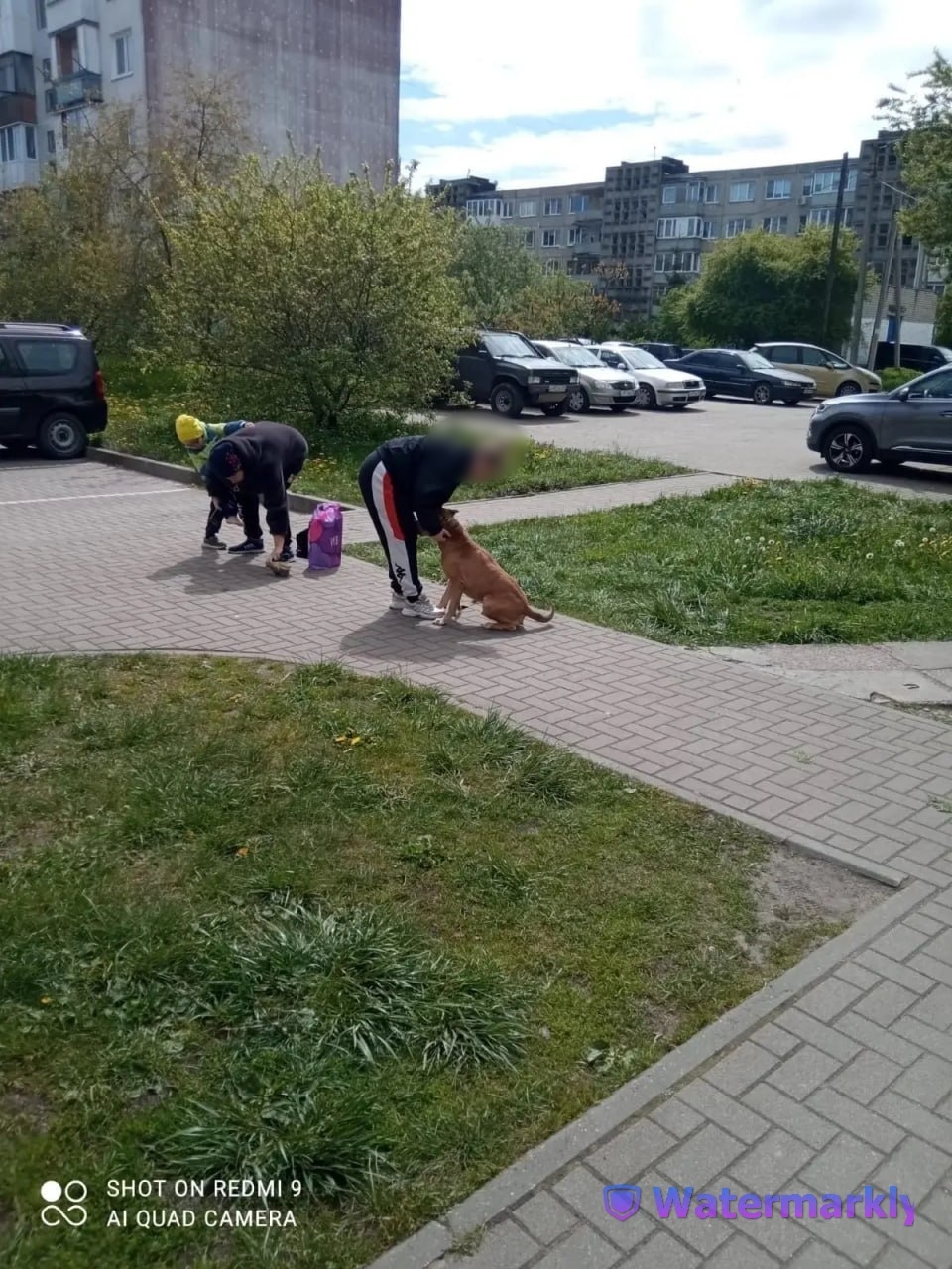 Олеся и её сын сразу после нападения, владелица пытается увести собаку